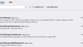 WPF预览和录制RTSP流数据 WPF预览和录制RTSP流数据